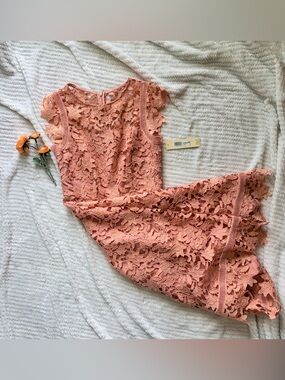 Eliza J Sleeveless Guipure Lace Sheath Dress with Scalloped Trim NWT 0